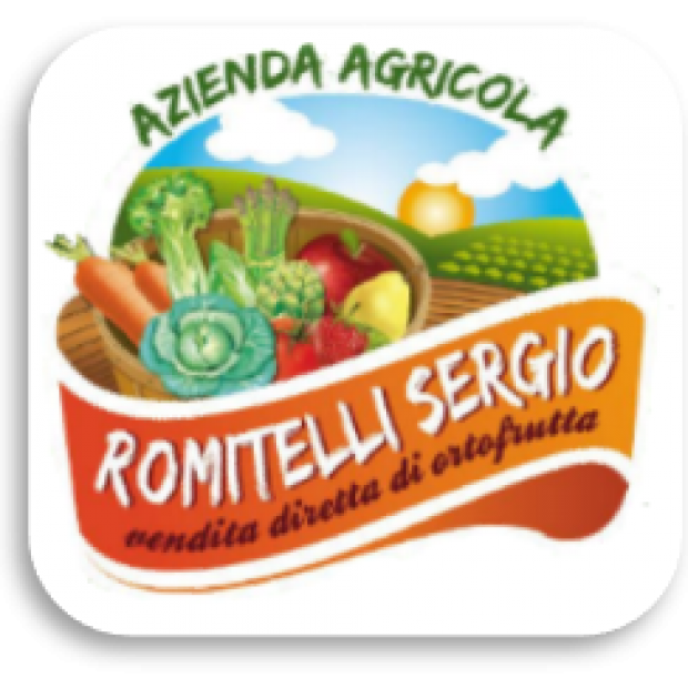 logo-romitelli.png